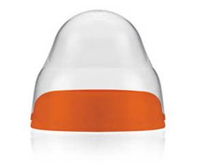 �����ǌ��ڏ���ƿ�w�Æ᣿