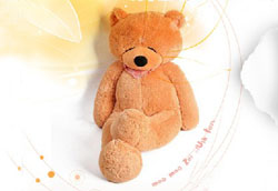 ëë��ë�q���Ʒ�|(zh��)׿Խ