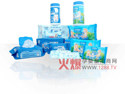 �P��ܰ���׃���� ���o(h��)�������w