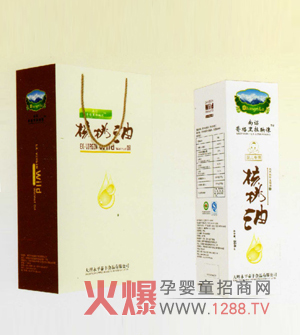 ���t�������ӳ������� �͜؉�ե��ȫ�I(y��ng)�B(y��ng)