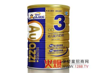 �Ę�(l��)�̽��b�׃��䷽�̷�INS�����I(y��ng)�B(y��ng)ϵ�y(t��ng)��B