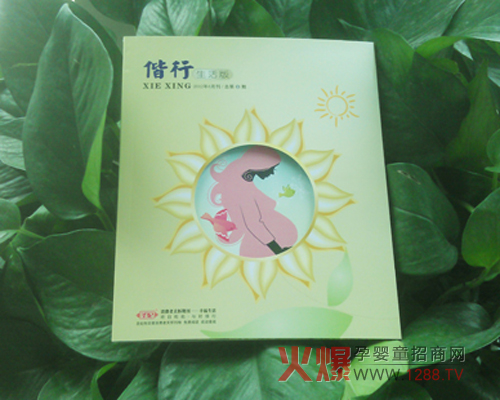 ʥ�������С�������ܰ����