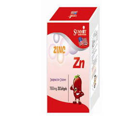 Summit�\���\��ô��