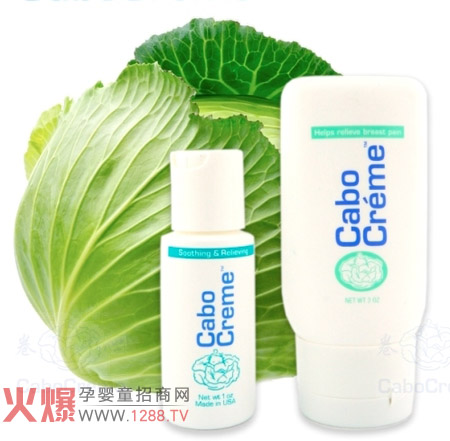 ���ċ����澏��