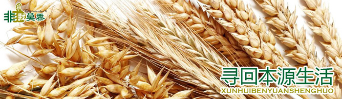 ���̲��(y��)3