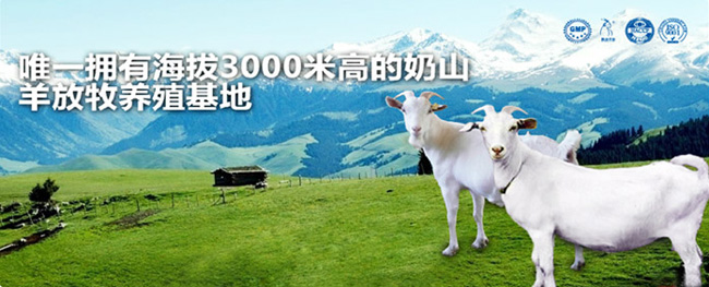 ���̻���