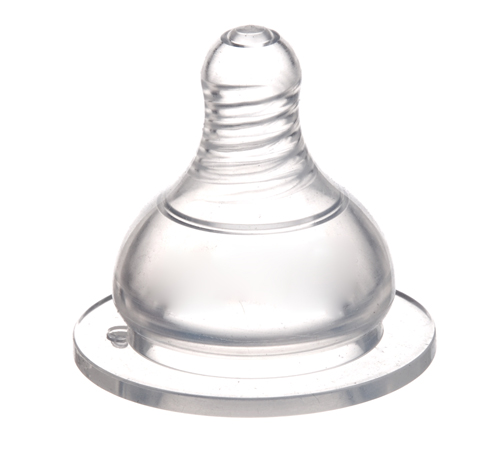 �ѐی��ڏ�ĸ�錍������L̖