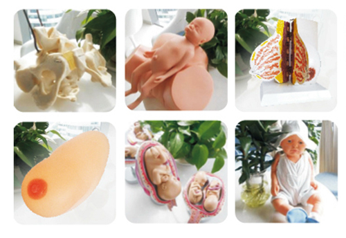 快樂孕育yunf學(xué)校教學(xué)用具