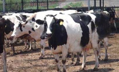 ��ţ���e�\(y��n)�Ӆ^(q��) 