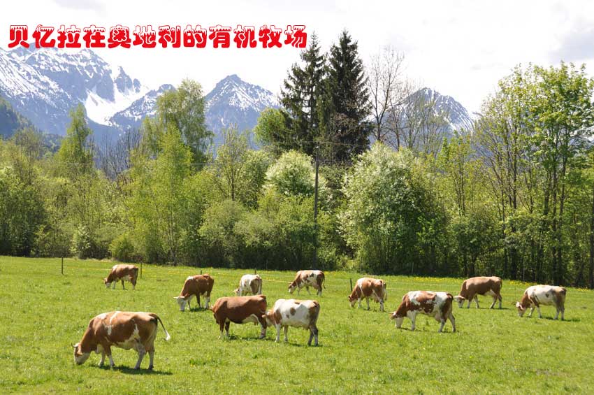 ؐ�|���ڊW�������ЙC(j��)����(ch��ng)