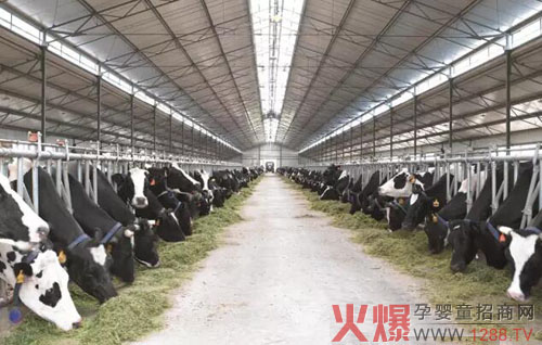 ��V�x������ţ����Ʒ���M(f��i)�Ј���  �xɽ��(chu��ng)�¸�Ч����ģʽ��(y��ng)���̘I(y��)�³��B(t��i)