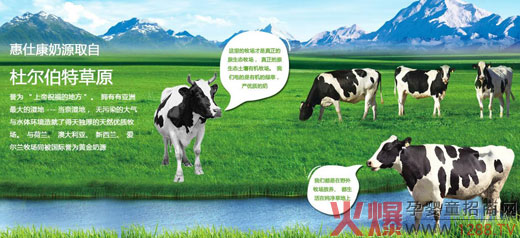 �{�˿��̷�20�갲ȫƷ�| �d�u�ʫI