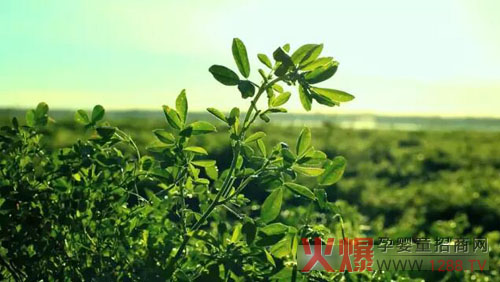 �xɽţ�̟���ӛ�������������� �����֎ײ���