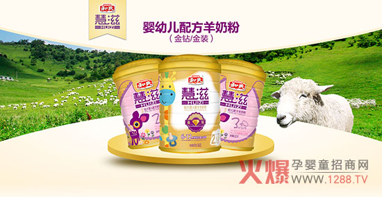 ������ʲô���ۺȺ��ϻ������̷���