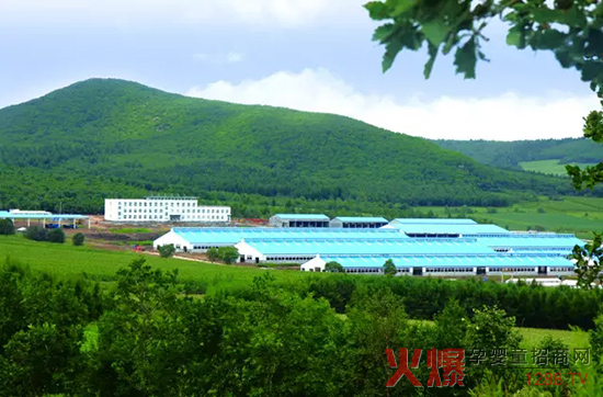 �l(f��)չ���w���������_ɽ���Є���