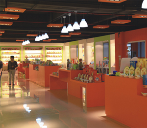 ������ͯ�;�չ�d