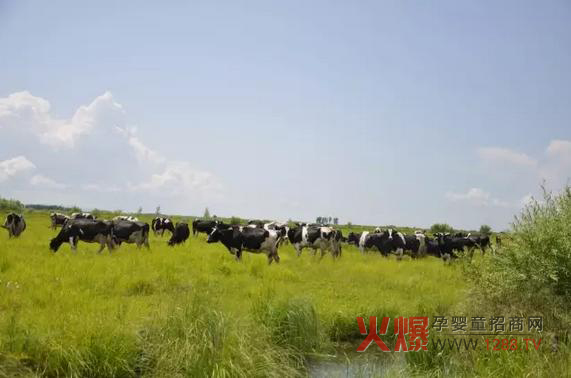 ���_ɽ�̷۞�Ε��ܵ��@ô���˵�ϲ����