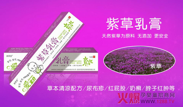 �ی�ؐ�ϲ���� ׌�����������f�ݰ�