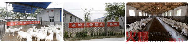 ���̷ۮa(ch��n)�I(y��)��Ȼ���� ������������A�I(l��ng)�Ј�