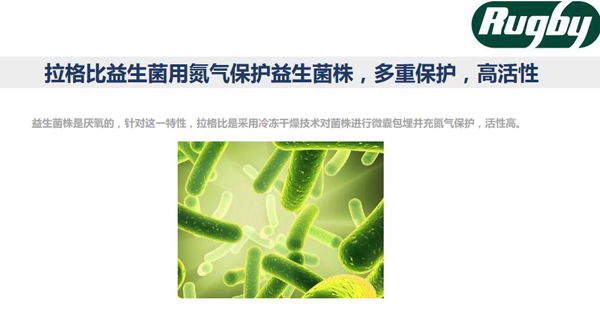 拉格比益生菌滴液優(yōu)勢10.jpg