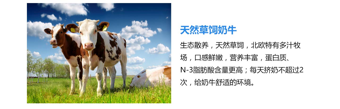  ʥԪ��(y��u)���̷�06