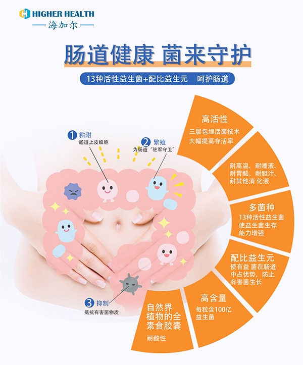 海加爾益生菌復(fù)合粉(13聯(lián)復(fù)合益生菌)海報(bào).jpg