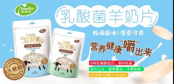 ����������Ƭ��������ʲôħ����������