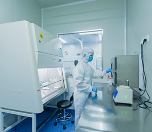  ��������S19