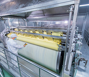  ��������S31