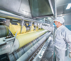  ��������S29