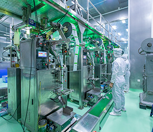  ��������S12