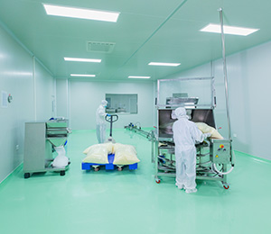  ��������S1