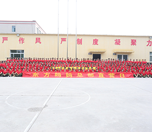  �|�������a���Ԫ6 (2)