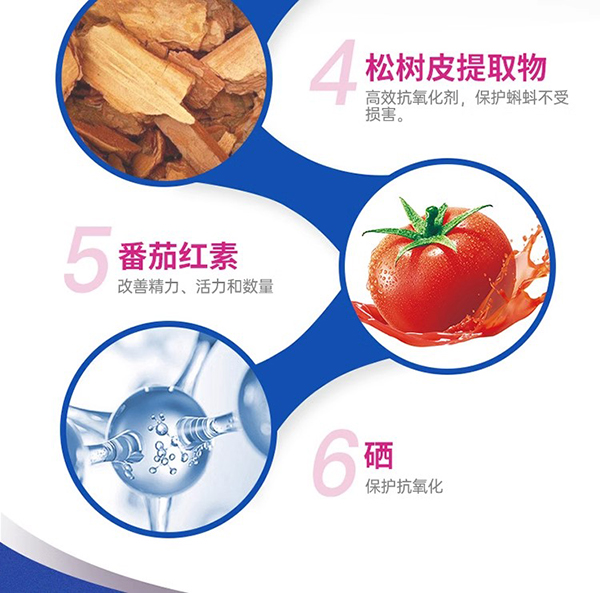 vitabiotics薇塔貝爾男士備孕綜合營養(yǎng)片 (2).jpg