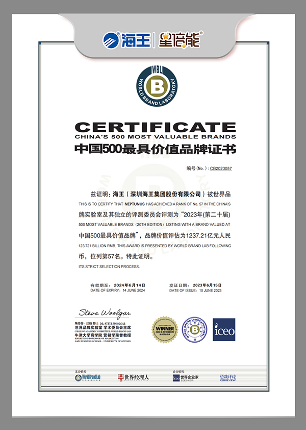 海王集團(tuán) 500強(qiáng)證書 最新.jpg 海王集團(tuán) 500強(qiáng)證書 最新.jpg