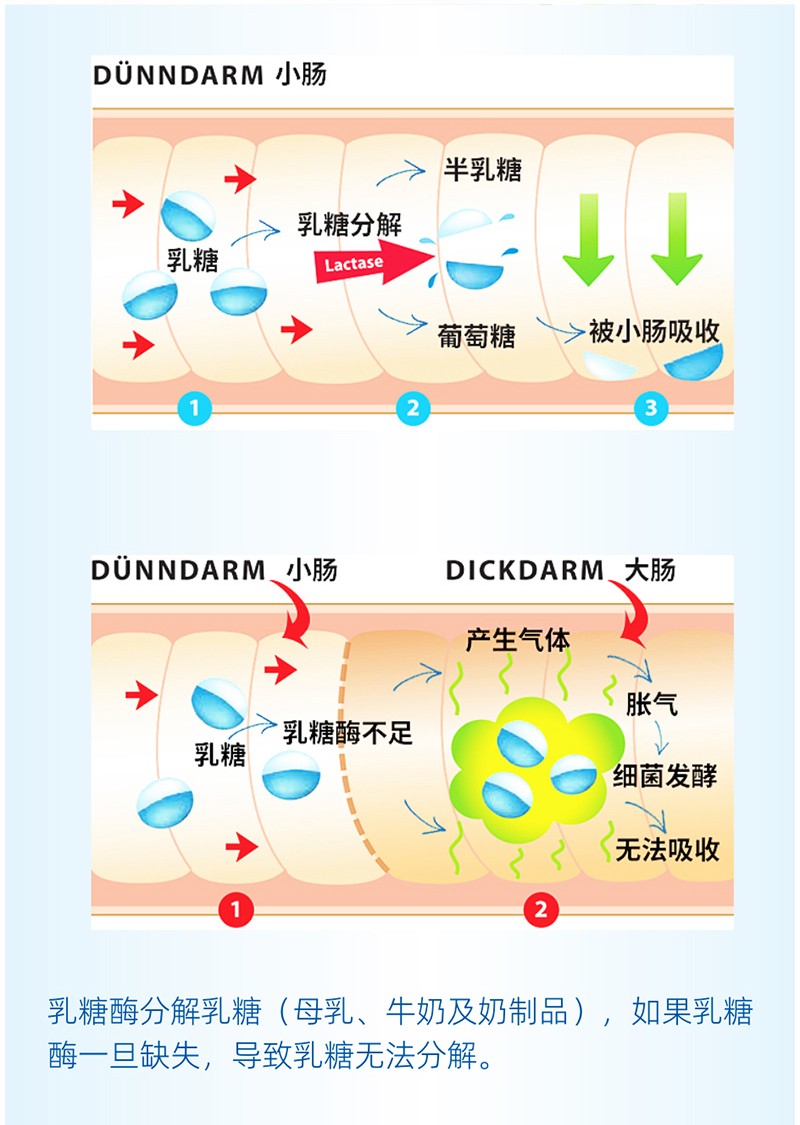  ����������ø�{(di��o)�����Ԕ��D_03