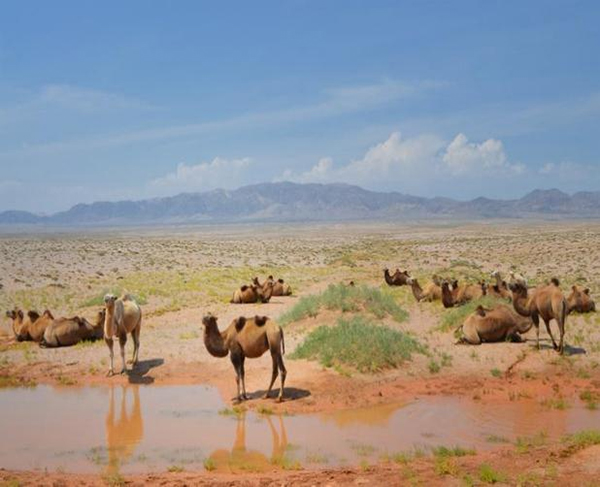 ���ƽz�ĸ�댣�������\�д���������ģʽ���´������o(h��)ȫ�ҽ������\�����ļ�����