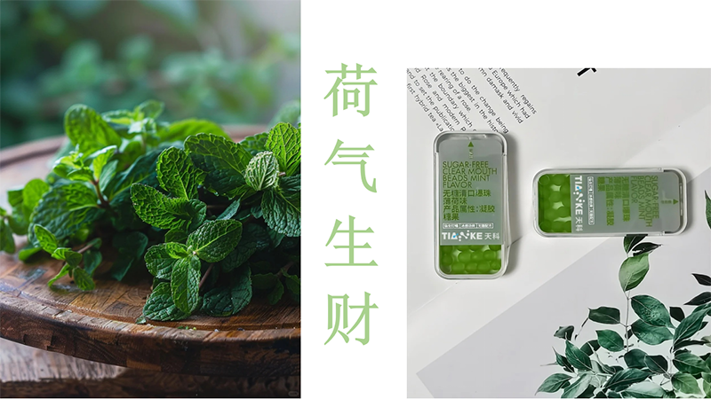 ��Ɵo(w��)����ڱ��� ����ζ.png