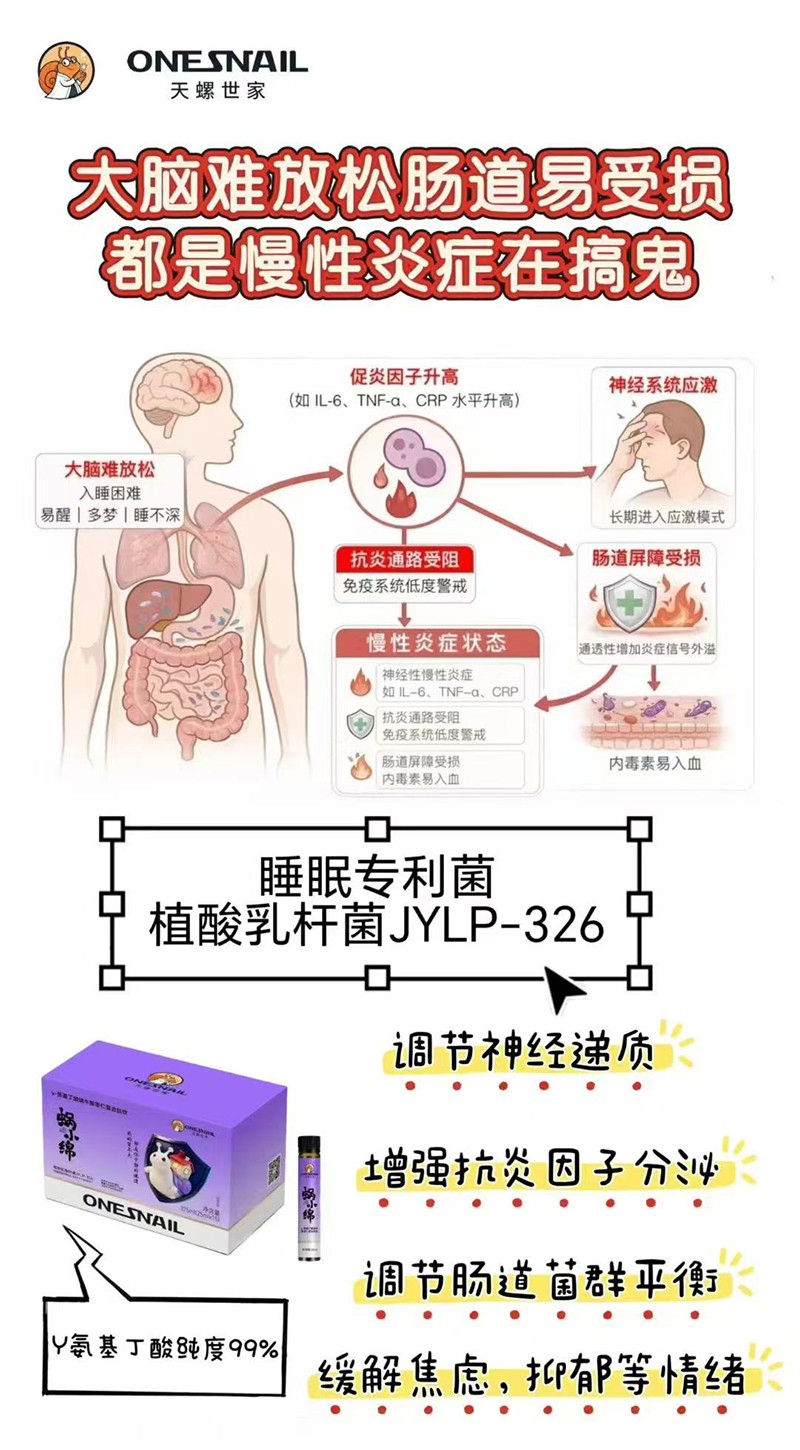 天螺世家蝸小綿γ-氨基丁酸蝸牛酸棗仁復(fù)合肽飲04.jpg
