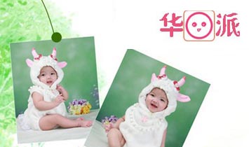 �A�ɐ����Q(m��o)�����޹�˾