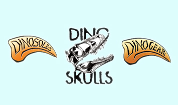 �B�T�����M�������޹�˾