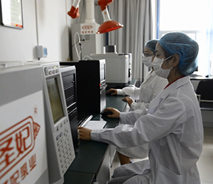 �|(zh��)�z���Č����