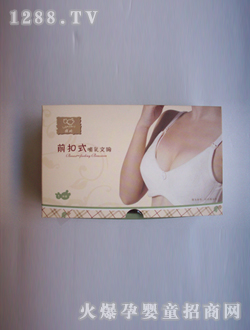 ����ǰ��ʽ��������