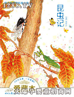 ����ꖹ⡶���xӛ��