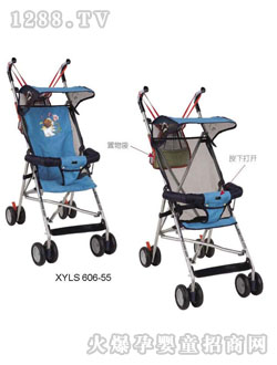 СԴ��XYLS-606-55