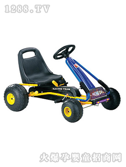 �����_��܇XG9901�{