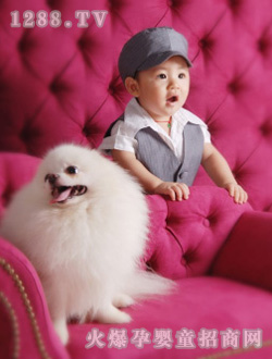 ̩�ό���������-����oϾ