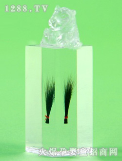 ����ɐۻ���