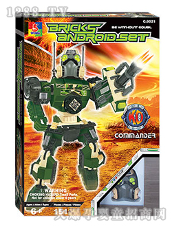 ���R�eľC9521