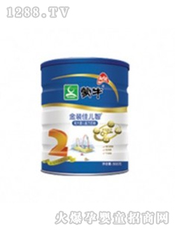 �у���yinge�̷�900g